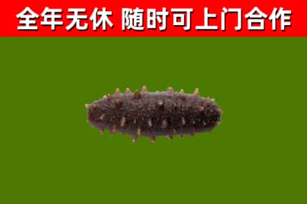 宜宾市烟酒回收干海参.jpg